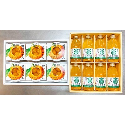 田村みかんフルーツまるごとゼリー250g×6個&みかん果汁100%ジュース200ml×8本