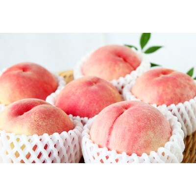 紀州和歌山産の桃 約4kg 化粧箱入