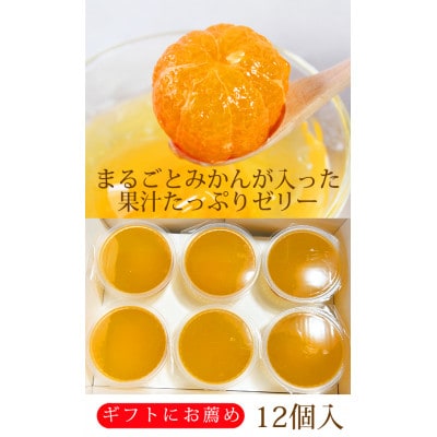 紀州和歌山まるごとみかんゼリー 145g×12個(6個入×2箱)