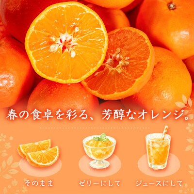 ジューシー柑橘　セミノールオレンジ　5kg