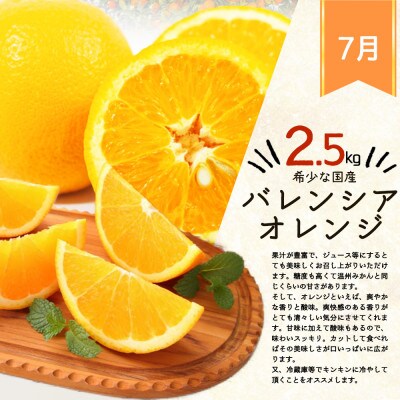 【発送月固定定期便】紀州和歌山産旬のフルーツセット(バレンシア・桃・ひらたねなし柿)全3回