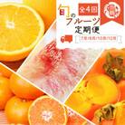【発送月固定定期便】紀州和歌山産旬のフルーツセット(バレンシア・桃・ひらたねなし柿・みかん)全4回