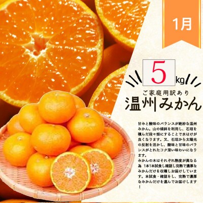 【発送月固定定期便】紀州和歌山産旬のご家庭用柑橘セット(みかん・不知火・清見)全3回