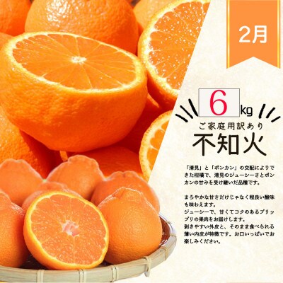 【発送月固定定期便】紀州和歌山産旬のご家庭用柑橘セット(みかん・不知火・清見)全3回