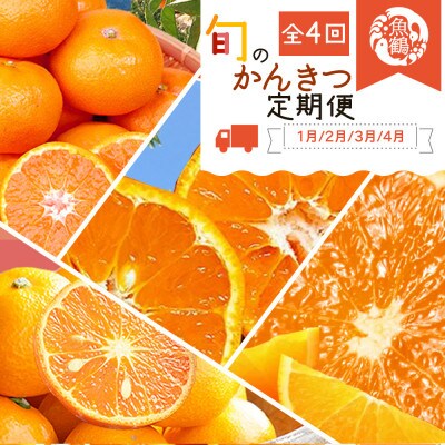 【発送月固定定期便】紀州和歌山産旬のご家庭用柑橘セット(みかん・不知火・せとか・清見)全4回