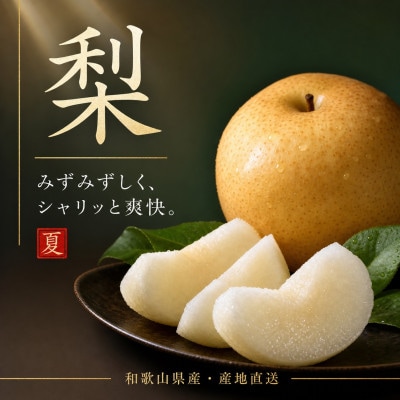 【発送月固定定期便】紀州和歌山産旬のフルーツセット(スイカ・桃・梨)全3回
