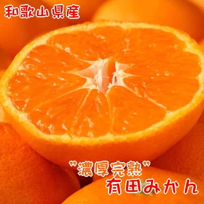 ご家庭用濃厚訳あり有田みかん　10kg