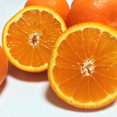 【2023年4～5月発送】【春の美味】有田育ちのセミノールオレンジ(ご家庭用)　約5kg