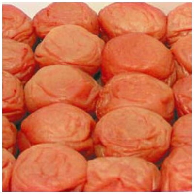 《紀州南高梅》うす塩梅干し　750g〔化粧箱入り〕