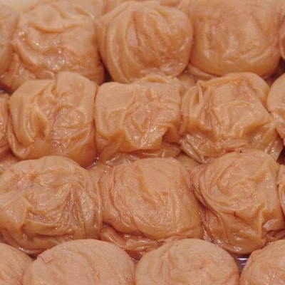 《紀州南高梅》はちみつ梅干し　つぶれ梅(ご家庭用)500g