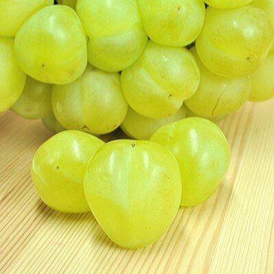 上富田町【秋の美味】農家直送!大人気ぶどう"濃厚"瀬戸ジャイアンツ 約1kg(2~3房入り)