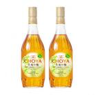 ザ・チョーヤ 大地の梅 700ml ×2本セット