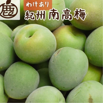 <6月発送>家庭用 紀州南高梅(青梅)5kg+150g(傷み補償分)【梅干し・梅ジュース】【訳あり】