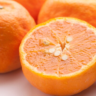 ＜4月より発送＞厳選 カラマンダリン2kg+60g(傷み補償分)【南津海・なつみ】【希少な春柑橘】