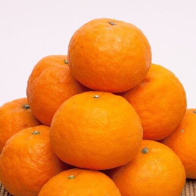 <6月より発送>厳選手詰 なつみ1.7kg+51g(傷み保証分)　【南津海】(上富田町)