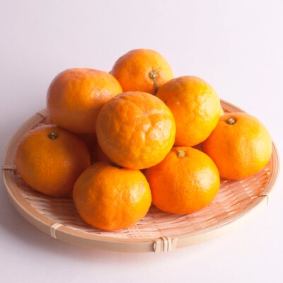 厳選　超熟有田みかん2kg+60g【自分史上一番みかん】【光センサー選果】