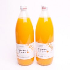 とろり みかんネクター1000ml&times;2本 無添加100%ストレートジュース 【有田みかんジュース】