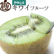 &lt;先行受付&gt;家庭用キウイフルーツ1.7kg+51g(傷み補償分)【訳あり・扁平果】