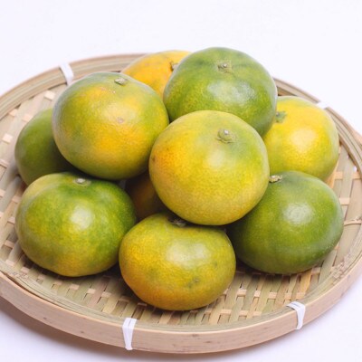 厳選 極早生有田みかん2.5kg+75g(傷み補償分)【YN26・ゆら早生】