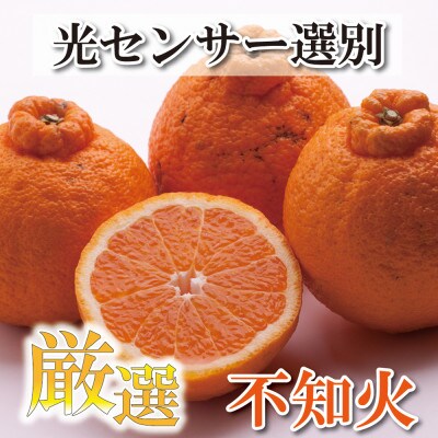 <2月より発送>厳選 不知火4kg+120g(傷み補償分)【光センサー】