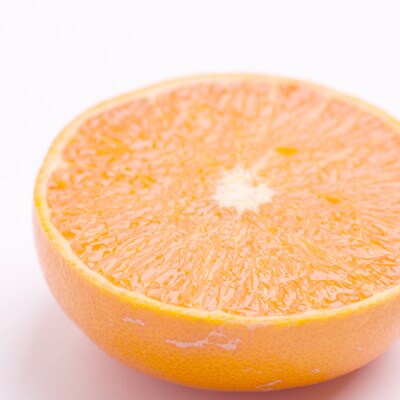 <3月発送>厳選せとか2.5kg+75g(傷み補償分)【柑橘・春みかんの大トロ】【光センサー選果】