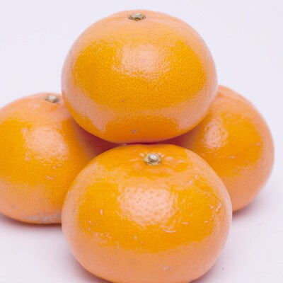 <3月発送>厳選せとか2.5kg+75g(傷み補償分)【柑橘・春みかんの大トロ】【光センサー選果】