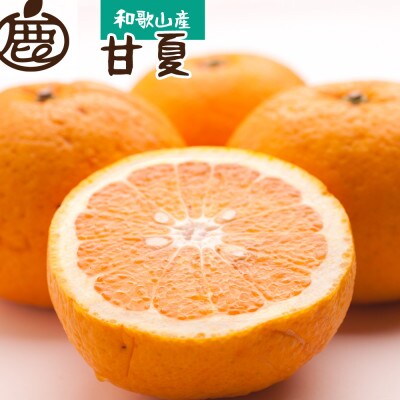<6月発送>厳選甘夏柑6.5kg+195g(傷み補償分)【初夏のみかん】【有田産】【光センサー選別】