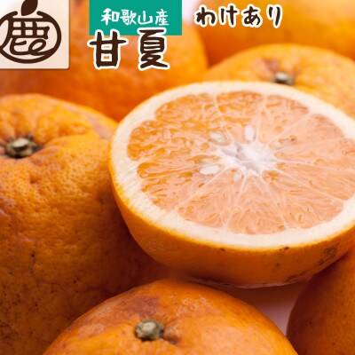 <6月発送>家庭用甘夏柑7kg+210g(傷み補償分)【初夏のみかん】【有田産】【わけあり】