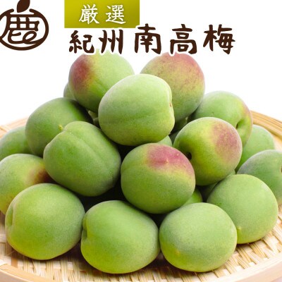 ＜6月発送＞厳選 紀州南高梅(青梅)2.5kg+75g(傷み補償分)【梅干し・梅酒・梅ジュース】