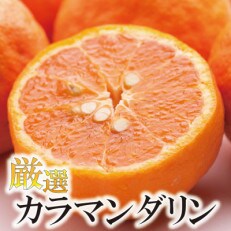 <4月より発送>厳選 カラマンダリン5kg+150g(傷み補償分)【南津海・なつみ】【希少な春柑橘】