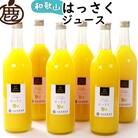 無添加はっさくジュース720ml×6本【100%・ストレートジュース】