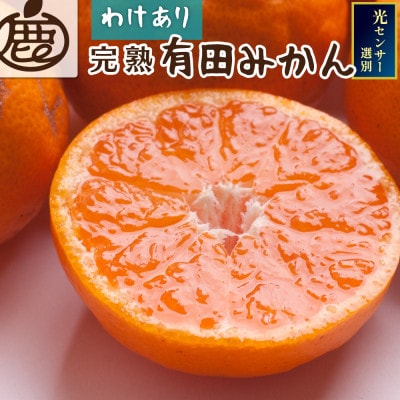 家庭用 完熟有田みかん5kg+250g(傷み補償分)【光センサー選果】【訳あり】