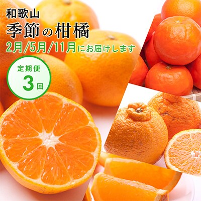 【発送月固定定期便】季節の柑橘定期便A【フルーツ定期便】【和歌山県有田】全3回