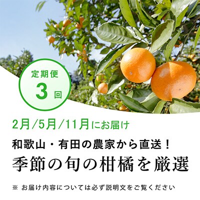 【発送月固定定期便】季節の柑橘定期便A【フルーツ定期便】【和歌山県有田】全3回