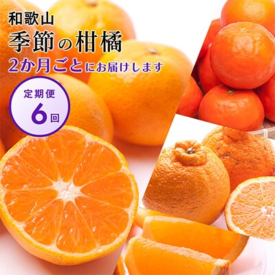 【発送月固定定期便】季節の柑橘定期便A【フルーツ定期便】【和歌山県有田】全6回