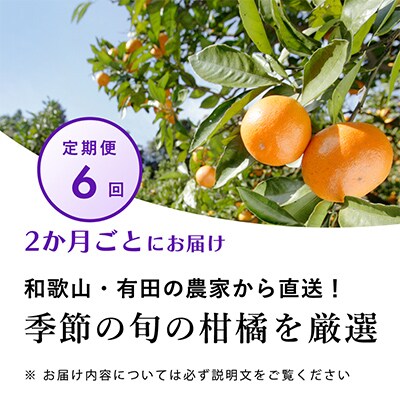 【発送月固定定期便】季節の柑橘定期便A【フルーツ定期便】【和歌山県有田】全6回