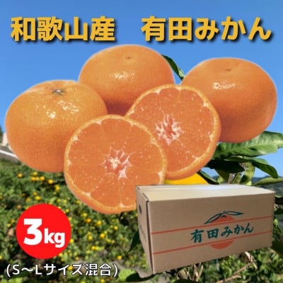 ふるさと納税 上富田町 【和歌山名産】南高梅約3kg(サイズ混合