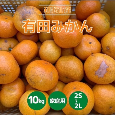 和歌山県産　有田みかん　約10kg　家庭用