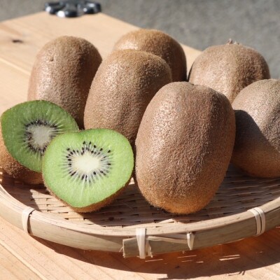 和歌山産 キウイフルーツ 約1.2kg 秀品