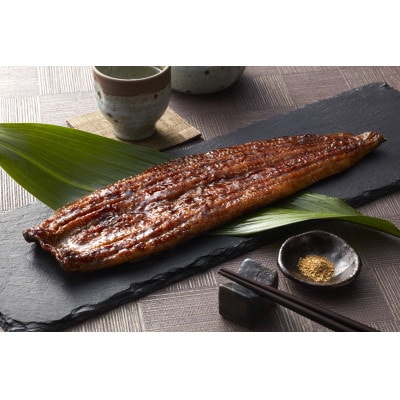 うなぎ蒲焼き2尾入り 約480g(蒲焼たれ4袋 山椒付き)