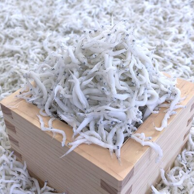 釜あげしらす 木箱入り900g