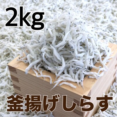 釜揚げしらす2kg(500g×4パック)