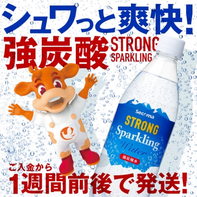 【定期便6ヵ月】 セコマ 強炭酸水 500ml 24本 1ケース