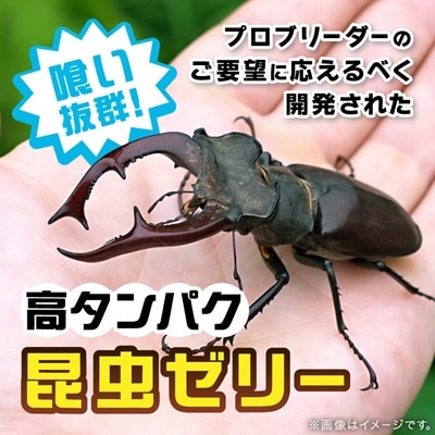 プロゼリー　約500個入り　