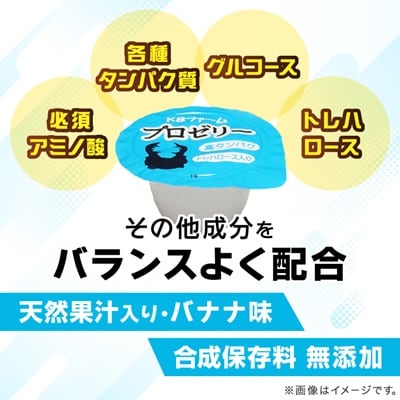 プロゼリー　約500個入り　