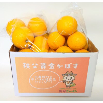 秩父黄金かぼす2kg　冬の特産品【家庭用】