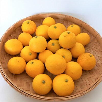 秩父黄金かぼす2kg　冬の特産品【家庭用】