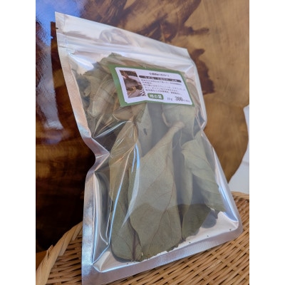 小動物(うさぎなど)の　おやつ(柿の葉)日本百名山『両神山』の麓にある小鹿野町両神地区産