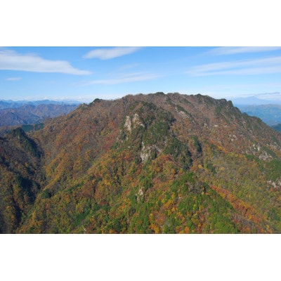 小動物(うさぎなど)の　おやつ(柿の葉)日本百名山『両神山』の麓にある小鹿野町両神地区産