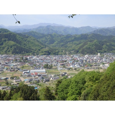 小動物(うさぎなど)の　おやつ(柿の葉)日本百名山『両神山』の麓にある小鹿野町両神地区産